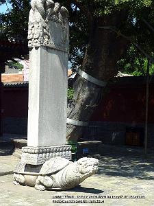35- Pekin- Zhihuashi